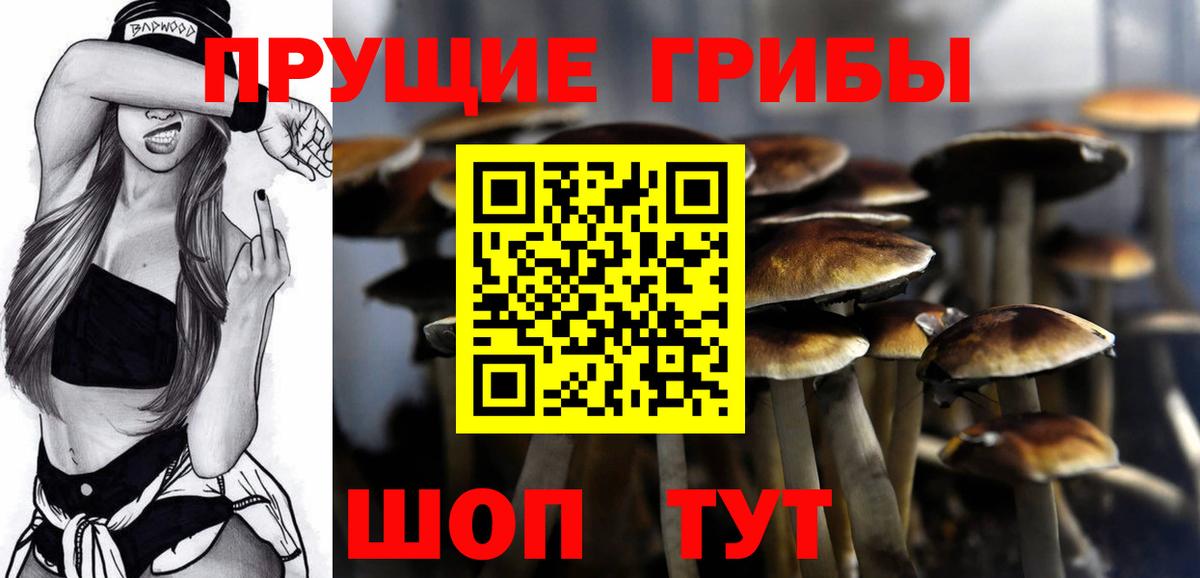 Псилоцибиновые грибы мицелий Королёв