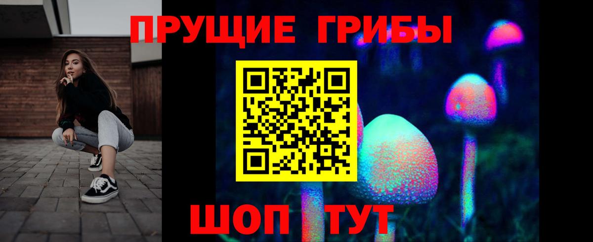 Галлюциногенные грибы мухоморы  Галлюциногенные грибы Psilocybine cubensis  даркнет сайт  Вход с VPN  Королёв 